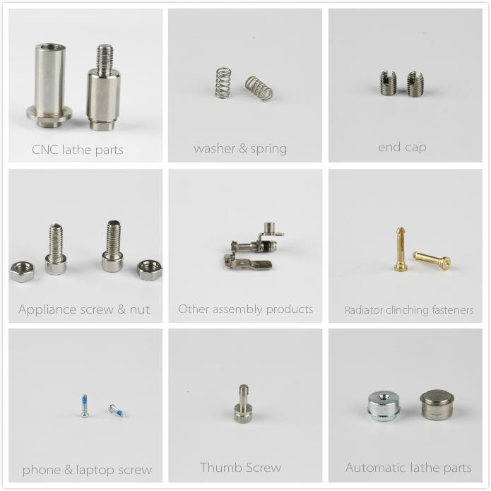 Projector Anti-tooth Thumbscrew.jpg