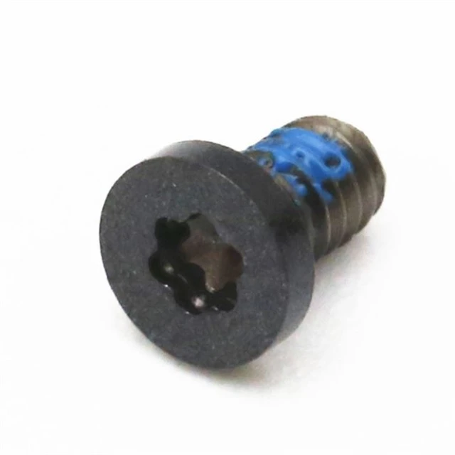 Roestvrijstalen Torx-kop zwarte kleine schroef